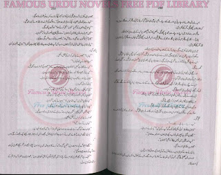 dil diya dehleez novel